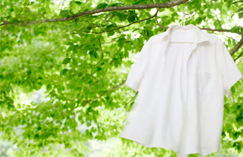 気もちのよいお洗濯のイメージ